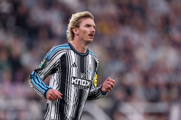 Nick Woltemade (Newcastle United). Photo by George Wood/Getty Images
